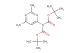 2-mehtyl-6-[bis(tert-butoxycarbonyl)amino]-4-aminopyrimidine