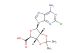 (3aS,4S,6R,6aR)-6-(6-amino-2-chloro-9H-purin-9-yl)-2,2-dimethyltetrahydrofuro[3,4-d][1,3]dioxole-4-carboxylic acid