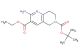 6-tert-butyl 3-ethyl 2-amino-7,8-dihydro-1,6-naphthyridine-3,6(5H)-dicarboxylate