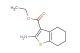 ethyl 2-amino-4,5,6,7-tetrahydrobenzo[b]thiophene-3-carboxylate