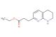 ethyl 3-(5,6,7,8-tetrahydro-1,8-naphthyridin-2-yl)propanoate