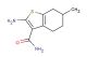 2-amino-6-methyl-4,5,6,7-tetrahydrobenzo[b]thiophene-3-carboxamide