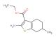 ethyl 2-amino-6-methyl-4,5,6,7-tetrahydrobenzo[b]thiophene-3-carboxylate