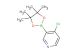 4-chloro-3-(4,4,5,5-tetramethyl-1,3,2-dioxaborolan-2-yl)pyridine