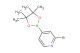 2-bromo-4-(4,4,5,5-tetramethyl-[1,3,2]dioxaborolan-2-yl)-pyridine