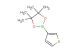 4,4,5,5-tetramethyl-2-(thiophen-3-yl)-1,3,2-dioxaborolane