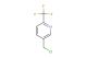 5-chloromethyl-2-(trifluoromethyl)pyridine