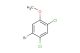 1-bromo-2,4-dichloro-5-methoxybenzene