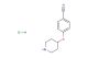 4-(piperidin-4-yloxy)benzonitrile hydrochloride