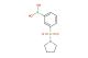 (3-(pyrrolidin-1-ylsulfonyl)phenyl)boronic acid