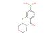 3-fluoro-4-(morpholine-4-carbonyl)phenylboronic acid