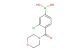 (3-chloro-4-(morpholine-4-carbonyl)phenyl)boronic acid