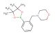 4-(2-(4,4,5,5-tetramethyl-1,3,2-dioxaborolan-2-yl)benzyl)morpholine