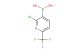 2-chloro-6-(trifluoromethyl)pyridin-3-ylboronic acid