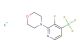 potassium trifluoro(3-fluoro-2-morpholinopyridin-4-yl)borate