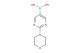 (2-morpholinopyrimidin-5-yl)boronic acid