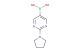 (2-(pyrrolidin-1-yl)pyrimidin-5-yl)boronic acid