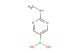 (2-(methylamino)pyrimidin-5-yl)boronic acid