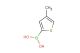 4-methylthiophene-2-boronic acid