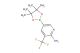 5-(4,4,5,5-tetramethyl-1,3,2-dioxaborolan-2-yl)-3-(trifluoromethyl)pyridin-2-amine