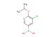 5-chloro-6-isopropoxypyridin-3-ylboronic acid