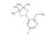 5-chloro-2-methoxy-3-(4,4,5,5-tetramethyl-1,3,2-dioxaborolan-2-yl)pyridine