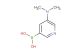 5-(dimethylamino)pyridin-3-ylboronic acid