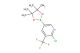 2-chloro-3-(trifluoromethyl)-5-(4,4,5,5-tetramethyl-1,3,2-dioxaborolan-2-yl)pyridine