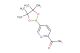 1-(5-(4,4,5,5-tetramethyl-1,3,2-dioxaborolan-2-yl)pyridin-2-yl)ethanone