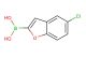 (5-chlorobenzofuran-2-yl)boronic acid