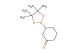 3-(4,4,5,5-tetramethyl-1,3,2-dioxaborolan-2-yl)cyclohexanone