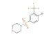 4-((4-bromo-3-(trifluoromethyl)phenyl)sulfonyl)morpholine