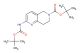 tert-butyl 2-((tert-butoxycarbonyl)amino)-7,8-dihydro-1,6-naphthyridine-6(5H)-carboxylate