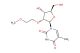 1-((2R,3R,4R,5R)-4-hydroxy-5-(hydroxymethyl)-3-(2-methoxyethoxy)tetrahydrofuran-2-yl)-5-methylpyrimidine-2,4(1H,3H)-dione