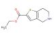 ethyl 4,5,6,7-tetrahydrothieno[3,2-c]pyridine-2-carboxylate