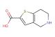 4,5,6,7-Tetrahydrothieno[3,2-c]pyridine-2-carboxylic acid