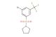 1-((3-bromo-5-(trifluoromethyl)phenyl)sulfonyl)pyrrolidine