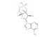 5  -cyclicmonophosphate