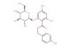 Phlorizin