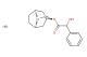 Homatropine Bromide