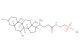 Sodium Tauroursodeoxycholate; TUDC