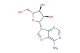 Adenosine