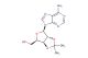 [(3aS,4R,6R,6aR)-6-(6-amino-9H-purin-9-yl)-2,2-dimethyl-tetrahydro-2H-furo[3,4-d][1,3]dioxol-4-yl]methanol