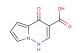 4-oxo-1H,4H-pyrrolo[1,2-b]pyridazine-3-carboxylic acid