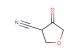 4-oxooxolane-3-carbonitrile