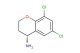 (4R)-6,8-dichloro-3,4-dihydro-2H-1-benzopyran-4-amine