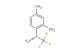 (1R)-1-(2,4-dimethylphenyl)-2,2,2-trifluoroethan-1-amine