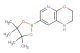 7-(4,4,5,5-Tetramethyl-[1,3,2]dioxaborolan-2-yl)-2,3-dihydro-1H-pyrido[2,3-b][1,4]oxazine