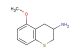 5-methoxy-3,4-dihydro-2H-1-benzothiopyran-3-amine