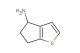 5,6-dihydro-4H-cyclopenta[b]thiophen-4-ylamine